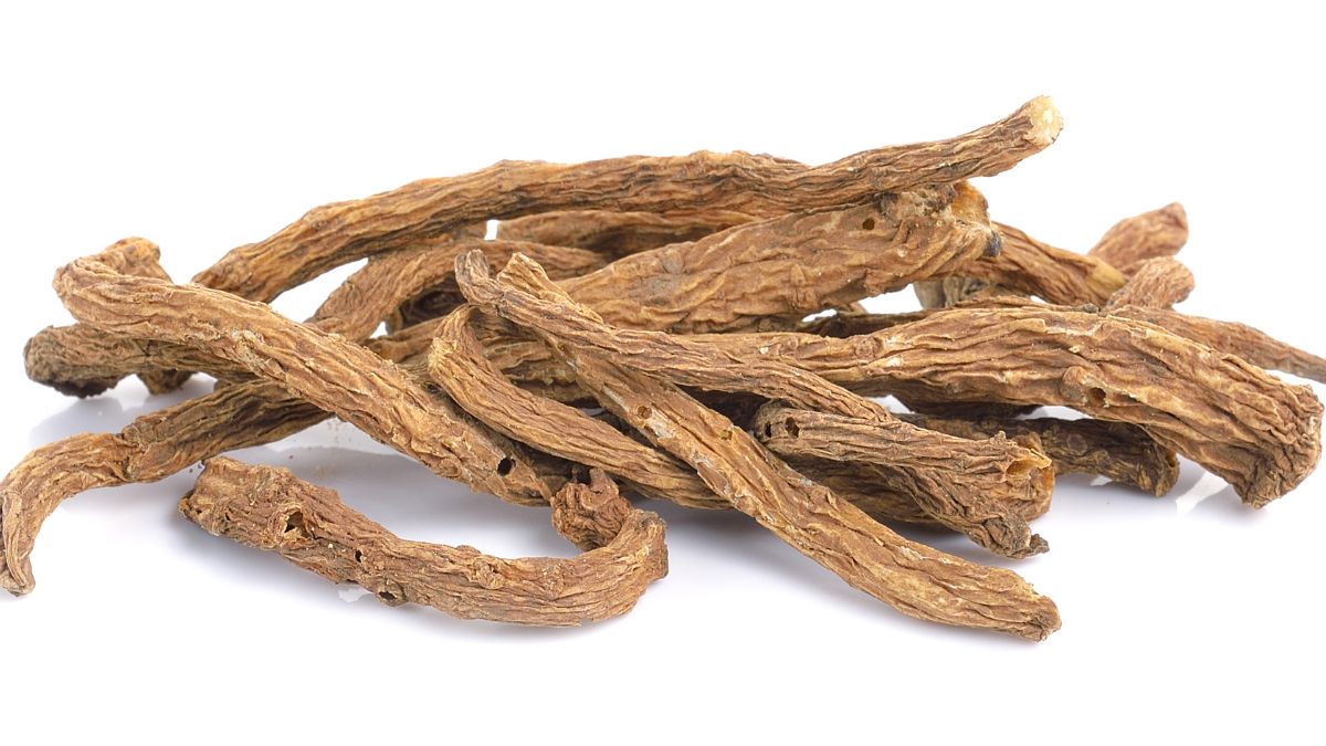 Sušené korene Angelica Sinensis, známe ako ženský ženšen, na bielom pozadí.