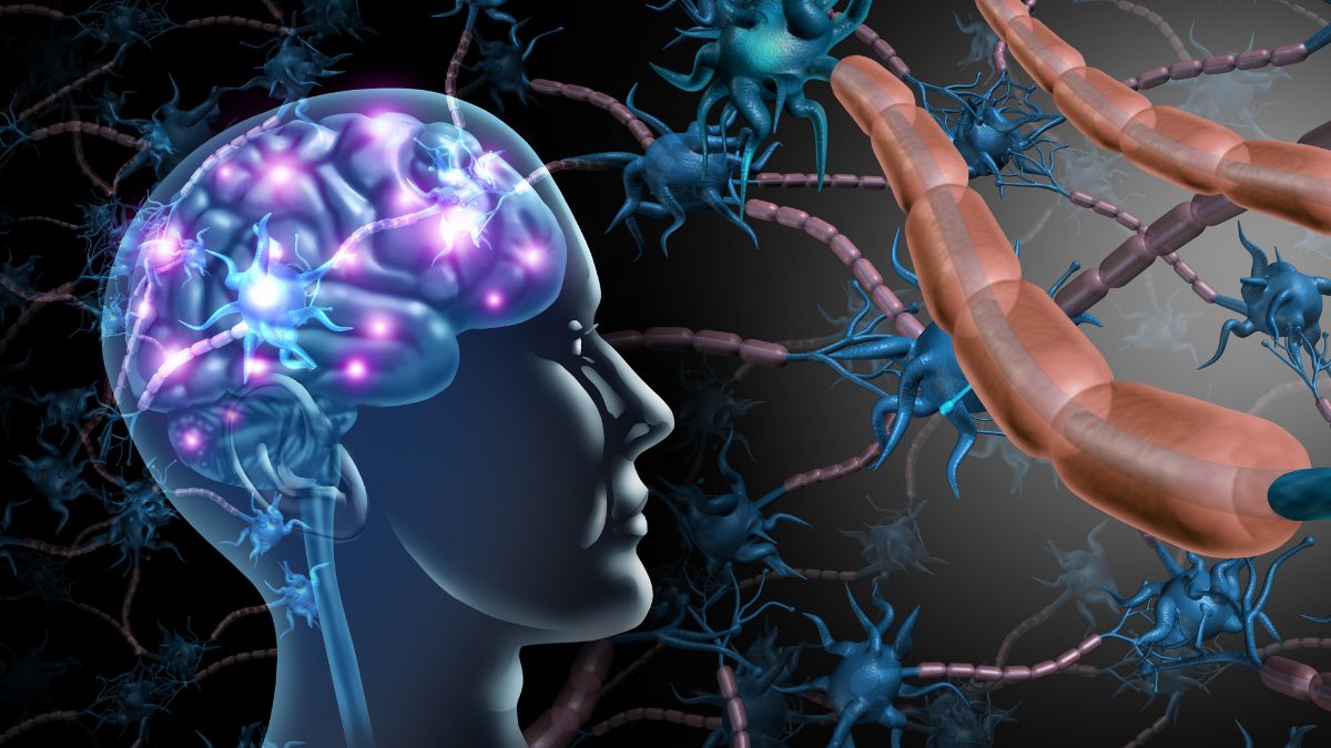 Ilustrácia mozgu s neurónmi a synapsami, znázorňujúca ich interakciu.
