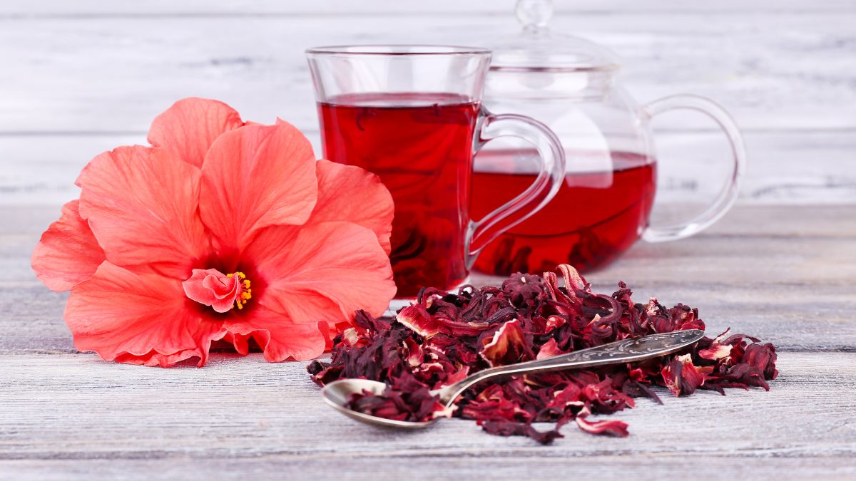 Hibiscus tea in a glass cup with dried petals and a flower nearby.