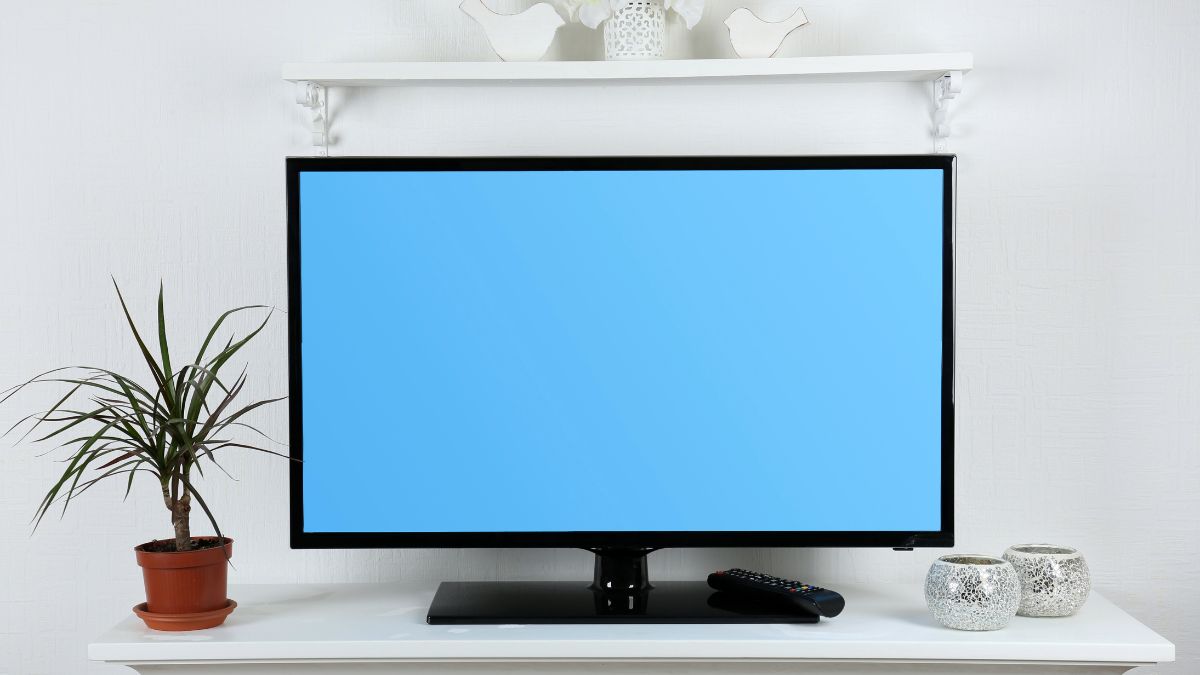 Plazmový televízor na bielej poličke s modrým pozadím a rastlinou vedľa.