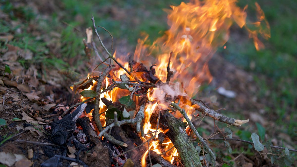 Plameň z horiaceho dreva a lístia, symbolizujúci znečistenie pri spaľovaní.