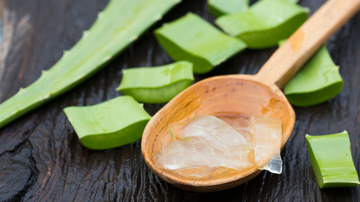 Čerstvé listy aloe vera a gél v drevenej lyžici na tmavom pozadí.