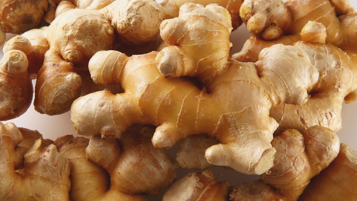 Ružový koreň, známy aj ako rhodiola, s charakteristickou štruktúrou a farbou.