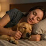 Žena spí so zlatým retrieverom na posteli.