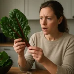 Žena skúma čerstvé cviklové listy v kuchyni.